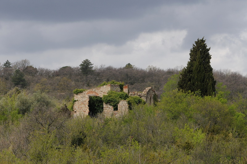 Paesaggio del Chianti